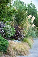 Phormium 'Black Adder' avec Cortaderia, Carex dipsacea, Chionochloa rubra au jardin Bhudevi Estate, Marlborough, Nouvelle-Zélande.