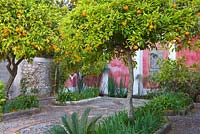 Terrasse supérieure avec mosaïque de galets, orangers, iris et une piscine rectangulaire remplie de papyrus, de vieilles tuiles siciliennes et tunisiennes. Casa Cuseni à Taormina, Sicile, Italie