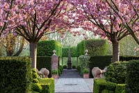 Mitton Manor Garden au printemps, Staffordshire. Cerisiers en fleurs encadrant l'obélisque de David Harber dans un jardin à la française moderne