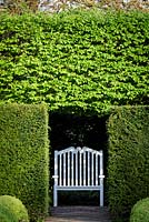Mitton Manor Garden au printemps, Staffordshire. Banc blanc simple parmi les couvertures dans le jardin topiaire de la boîte formelle