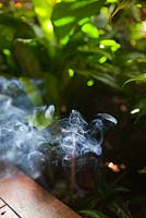 La fumée d'un bâton d'encens citronnelle qui flotte dans un jardin pour repousser les insectes piqueurs et ennuyeux.