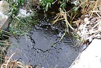 Petit étang de jardin en hiver avec pompe à air immergée empêchant le gel total, Norfolk, Royaume-Uni, décembre