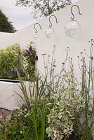 Un patio avec des murs blancs, des parterres de fleurs surélevés avec des vivaces bleues, violettes et vert lime et des lanternes suspendues en verre. Une bouffée d'air frais, RHS Tatton Flower Show 2011, Cheshire