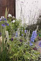 Un patio avec des murs blancs, des vivaces dans un schéma bleu, violet et vert citron et une porte en bois sombre. Une bouffée d'air frais, RHS Tatton Flower Show 2011, Cheshire
