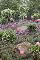 Sphères roses parmi les lavandes et les lauriers standard dans un jardin de rocaille en pente. Ne pas enjamber le jardin de la clôture, RHS Tatton Flower Show 2011, Cheshire