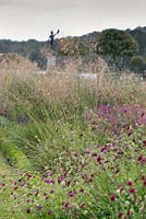 Fleurs de Stipa gigantea se déplaçant dans la brise avec Knautia macedonica et vue sur le jardin au-delà. Le jardin italien à Trentham Estate, Staffordshire