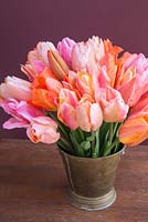 Seau en laiton contenant Tulipa 'El Nino', 'Marianne', 'Charming Beauty' et 'Sugar Love'