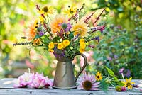 Cruche de vivaces: Echinacea purpurea, Helianthus, Persicaria amplexicaurus, Monarda, Chrysanthemum Yellow Button Pompon, dahlias