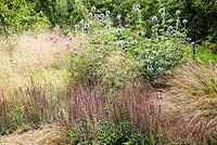 Parterre de fleurs à la fin de l'été à Broadleas House, Wiltshire, avec Deschampsia cespitosa 'Goldtau', Salvia 'Mainacht', Echinops ritro, Anemanthele lessoniana
