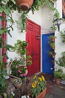 Coin terrasse peint en blanc avec des portes rouges et bleues et des pots en terre cuite de plantes annuelles d'été, Cordoue, Espagne
