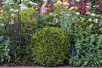 Le Harrods British Eccentics Garden, RHS Chelsea Flower Show. La boule de boîte ajoute la structure au parterre de fleurs vivace Concepteur: Diarmuid Gavin. Commanditaire: Harrods.