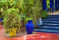 Marches carrelées menant à une pergola dans le Jardin Majorelle. Créé par Jacques Majorelle et développé par Yves Saint Laurent et Pierre Bergé, Marrakech, Maroc