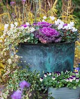 Une cuve de lavage en cuivre vintage est plantée pour l'automne avec du chou ornemental et du cyclamen blanc.