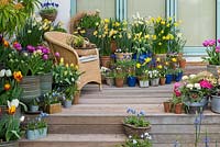 Un coin salon orné avec un étalage coloré de jonquilles, de tulipes, de jacinthes de raisin et d'alto.