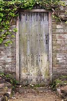 Vieille porte en bois dans jardin clos de pierres avec feuillage d'hortensia petiolaris