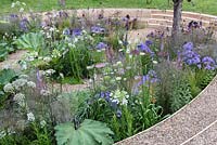 Toute la scène du monde. Jardin en contrebas avec plantation de style boisé semi-sauvage. Concepteur: Paysages Lunaria. RHS Hampton Court Palace Flower Show 2016