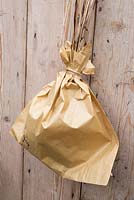 Un sac en papier contenant des plantes d'Aquilegia épuisées avec des têtes de graines