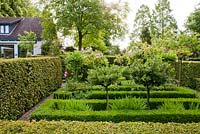 Jardin comestible avec des arbustes de groseille à maquereau. Haies de boîtes et de charme. Jardin Sarina Meijer