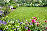 Parterres d'été entourant la pelouse avec banc en bois. Clematis ' Emilia Plater ', Rosa' Cornelia 'et Rosa' Red Leonardo da Vinci '. Jardin Sarina Meijer