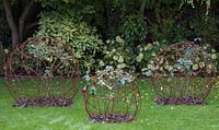 Sculptures circulaires rouillées plantées de roses et de fumier frais