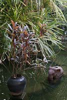 Éléphants de pierre et Cordyline fruticosa en pot dans une piscine tropicale - Myanmar