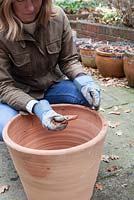 Rempotage d'un laurier - crocking nouveau pot avec des morceaux cassés de pot en terre cuite