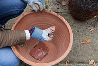 Rempotage d'un laurier - crocking nouveau pot avec des morceaux cassés de pot en terre cuite