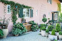 Zone gravillonnée près de maison rose avec des volets verts ornés de plantes en pots, Buxus, Clematis, Hosta, Hortensia
