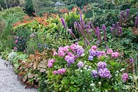 Parterre de fleurs herbacées dans les jardins d'Ilnacullin - île Garinish. Glengarriff, West Cork, Irlande. Les jardins sont le résultat du partenariat créatif entre Annan Bryce et Harold Peto, architecte et concepteur de jardins. août