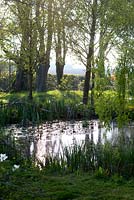 Une vue sur l'étang à travers le jardin boisé avec Aponogeton distachyo aux champs au-delà