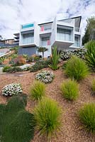 Une maison australienne moderne en verre et béton avec une piscine intégrée vue dans une banlieue australienne au bord de la plage sur un jardin en pente raide recouvert de paillis d'écorce de qualité et stabilisé avec une variété de plantes et d'herbes.