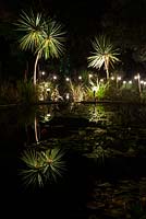 Les étangs de nénuphars entourés de lumières blanches et de cordylines se reflétant dans l'eau à Abbotsbury Subtropical Gardens en octobre