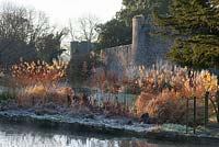 Tôt le matin, le soleil illumine les dernières feuilles sur les cornus colorés et les rousses d'herbes mortes et d'astilbes dans le jardin du Bishop's Palace à Wells un matin de novembre
