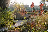 Le jardin oriental formel du jardin de l'évêché à Wells, avec une urne décorative et des parterres bordés d'euonymus à feuilles persistantes plantés d'un mélange de plantes vivaces herbacées et d'arbustes, y compris des cotinus à feuilles rouges