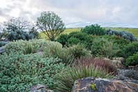 Le jardin Boulder où poussent des plantes méditerranéennes parmi les rochers et les éboulis, avec la grande serre conçue par Norman Foster and Partners en décembre