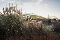 La grande serre conçue par Norman Foster and Partners au-delà des herbes blanchies et des têtes de semence des plantes vivaces herbacées