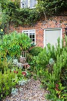 Porte arrière du cottage en brique encadrée par Euphorbia mellifera, boîte clippée, romarin et sedums autour d'une vieille chaise de jardin en métal décorative.