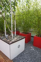 Pots plantés de Betula utilis 'Doorenbos' et Fargesia aurea sur un jardin en terrasse sur le toit à Rotterdam, en Hollande.