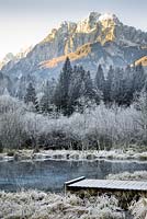 Étang naturel en hiver.