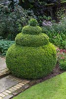Topiaire Buxus sempervirens en bordure de parterre de jardin