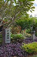Jardin avant avec Plumeria, frangipanis, broméliacées, Alcantarea, Costus, Hemigraphis colorata Purple Waffle Plant et signe pour parterre de fleurs et petit déjeuner