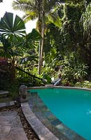 Piscine avec bordure pavée dans un jardin tropical au feuillage coloré