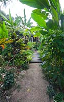 Chemin de gravier menant à une promenade en bois et à une maison entourée d'un jardin tropical luxuriant et épais avec de grandes espèces d'Heliconia.