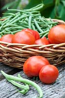 Récolte de haricots verts et tomates dans un potager - Eté - France