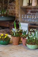 Une sélection de petits bols en céramique et pots en terre cuite plantés d'Iris 'Katharine Hodgkin', Galanthus elwesii, Hyacinth 'Woodstock', Narcissus 'Erlicheer' et Eranthis hyemalis
