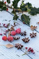 Pommes sauvages rouges givrées, graines d'anis étoilé, baies d'aubépine et feuilles de houx sur une surface en bois bleue