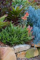 Détail du parterre de jardin rasied fait de blocs de grès avec un jardin de plantes succulentes, de broméliacées et d'un petit aloès