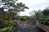 Large vue sur un jardin sur le toit avec le feuillage coloré de broméliacées, succulentes, fougères, palmiers et cycades.
