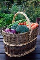 Panier de légumes, y compris haricot Runner 'Armstrong', tomates cerises 'Gardener's Delight', oignon rouge, brocoli, carottes et pommes à cuire