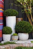 Pots en céramique émaillée blanche contenant des buxus coupés vus à côté d'un cabanon à rayures colorées, dans un petit jardin de la cour.